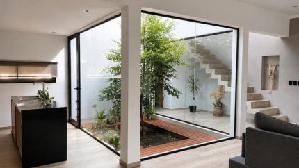 Vista desde living a patio interior